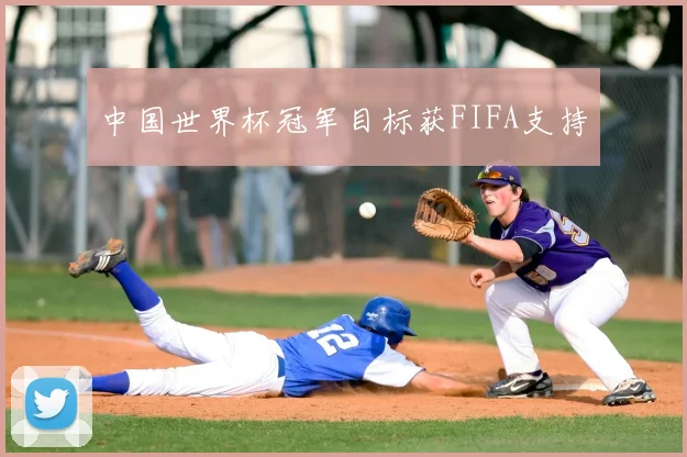 中国世界杯冠军目标获FIFA支持