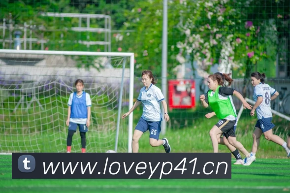 玩滚球的安全平台app官网品牌故事